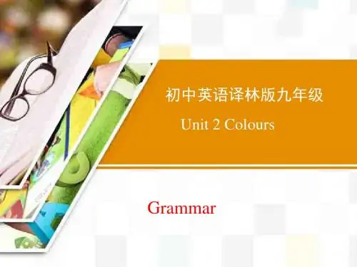 Unit2 Grammar精品课件