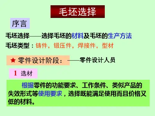 毛坯选择