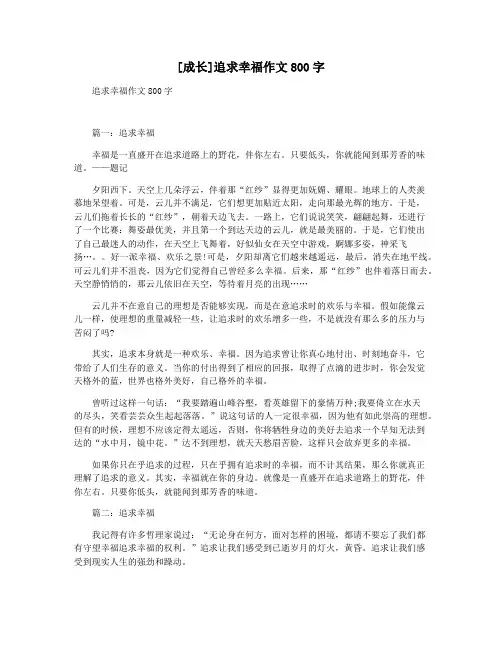 [成长]追求幸福作文800字
