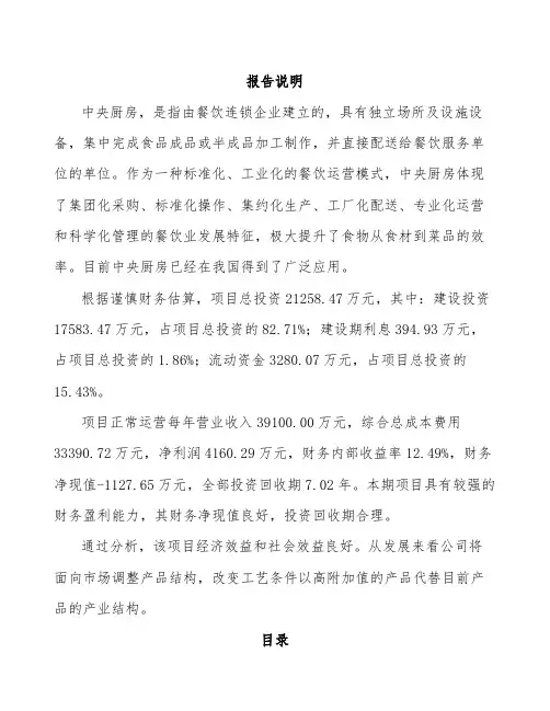 中央厨房项目投资预算报告