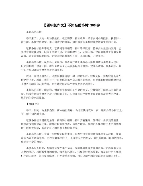 【四年级作文】不知名的小树_300字
