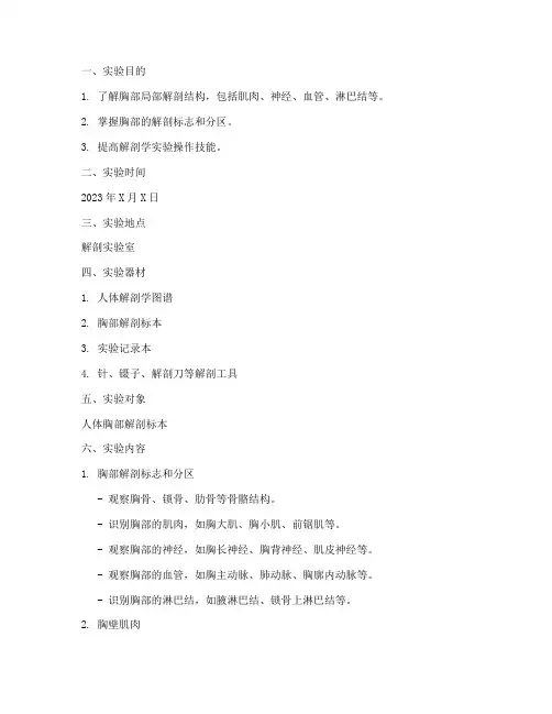 局部解剖胸实验报告