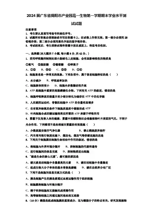 2024届广东省揭阳市产业园高一生物第一学期期末学业水平测试试题含解析
