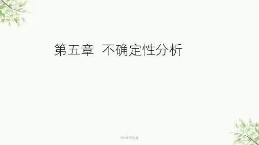 第五章风险与不确定性分析课件