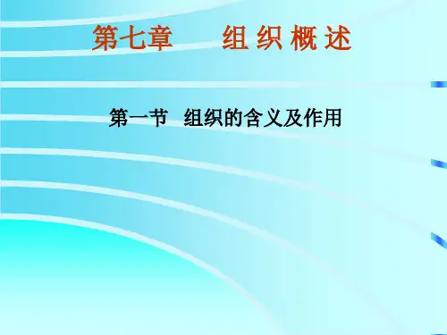 《组织行为学》组织的概述