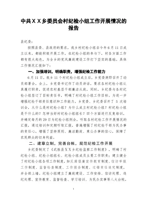乡委员会村纪检小组工作开展情况的报告