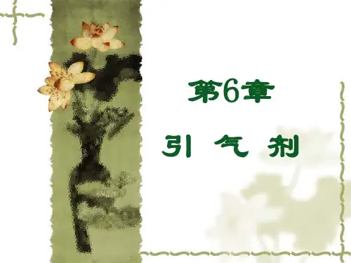 第6章引气剂
