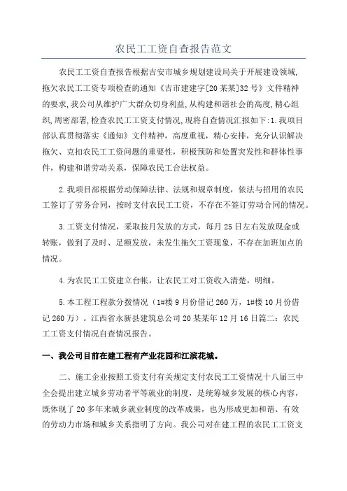 农民工工资自查报告范文