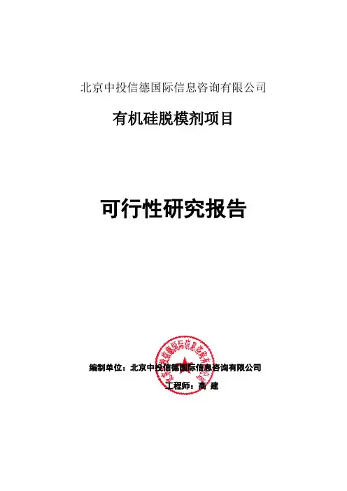 有机硅脱模剂项目可行性研究报告编写格式说明(模板套用型word)