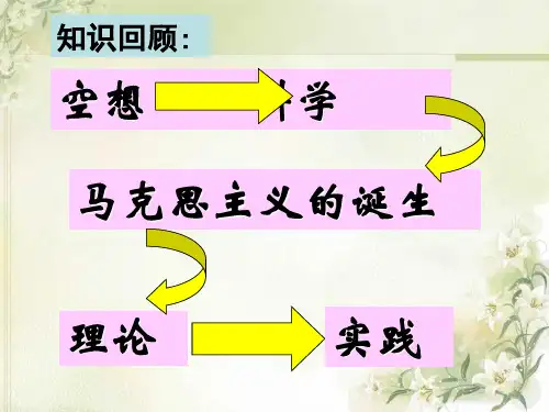 高中历史必修一《专题八解放人类的阳光大道二国际工人运动的艰辛历程》27