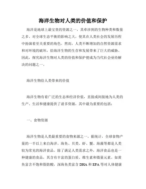 海洋生物对人类的价值和保护
