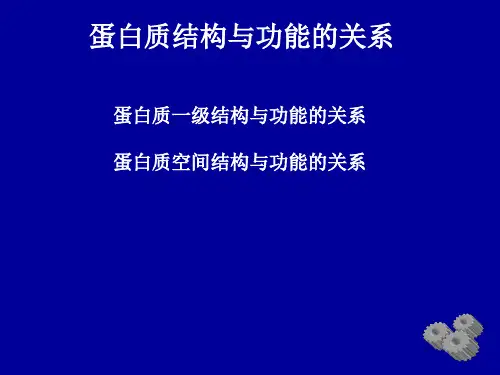 蛋白质结构与功能(3)