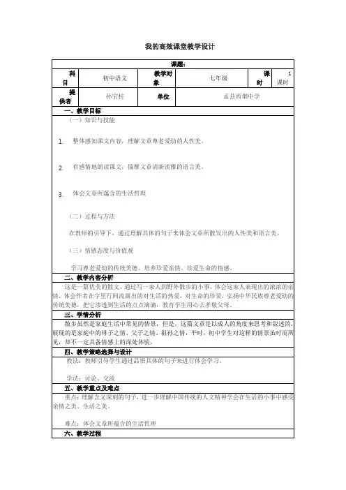 我的高效课堂教学设1