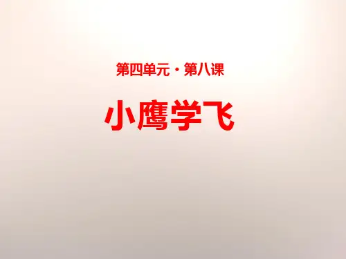 《小鹰学飞》PPT-完美版