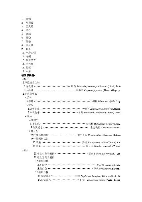 树木学检索表5