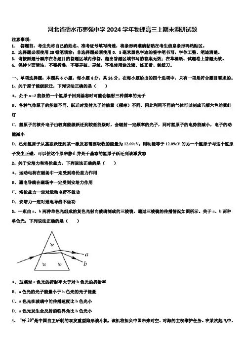 河北省衡水市枣强中学2024学年物理高三上期末调研试题含解析