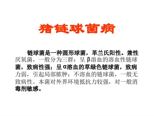 猪链球菌病【猪病的防与治】