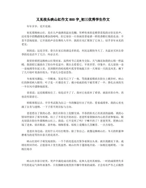 又见枝头映山红作文800字_初三优秀学生作文