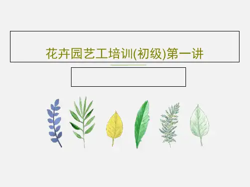 花卉园艺工培训(初级)第一讲共97页