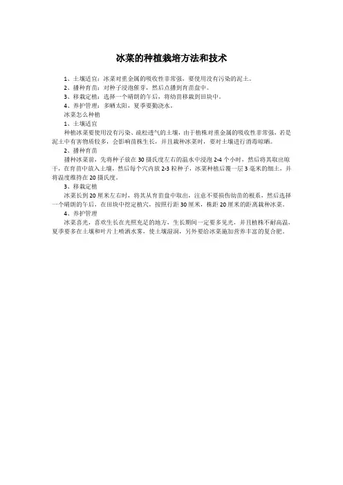 冰菜的种植栽培方法和技术