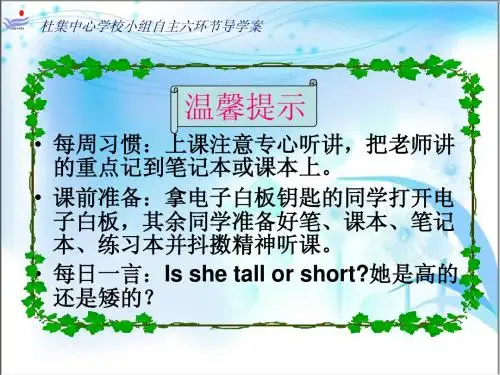 科普般六年级上册英语第八单元第一课时Let's talk