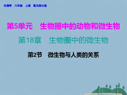 八级生物上册北师大版课件：  第节 微生物与人类的关系(共24张PPT)