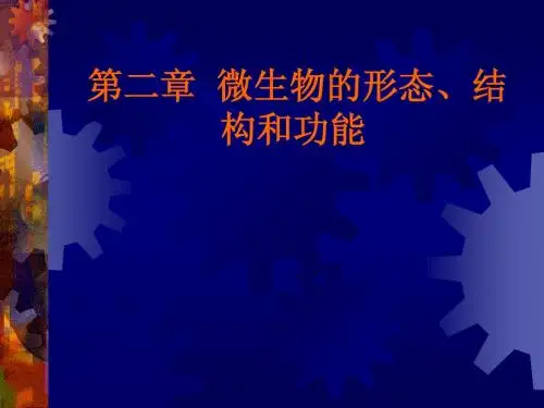 第二章 微生物的形态、结构与功能