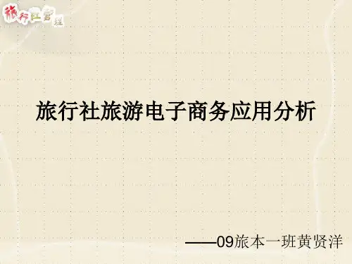 举例大中小三家旅行社电子商务运用情况(～ o ～)~zZ
