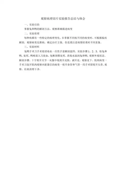观察病理切片实验报告总结与体会