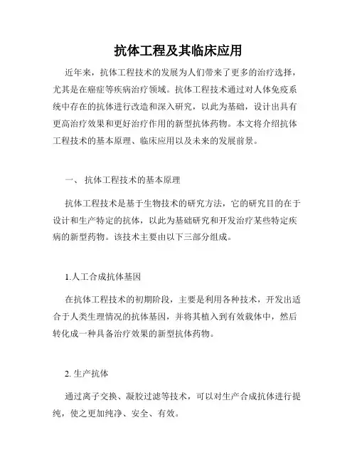 抗体工程及其临床应用