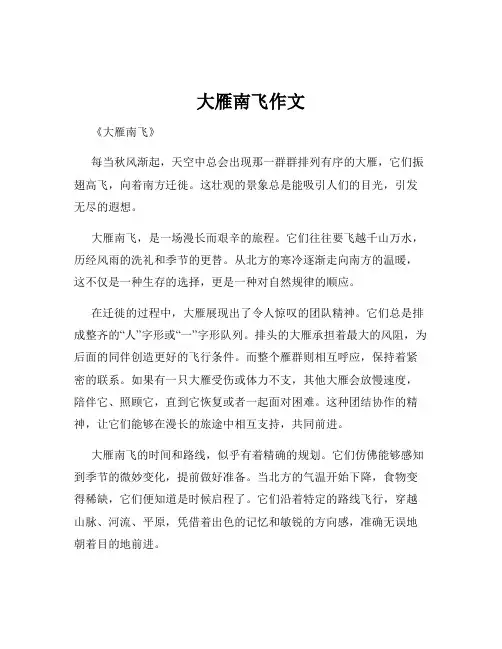 大雁南飞作文