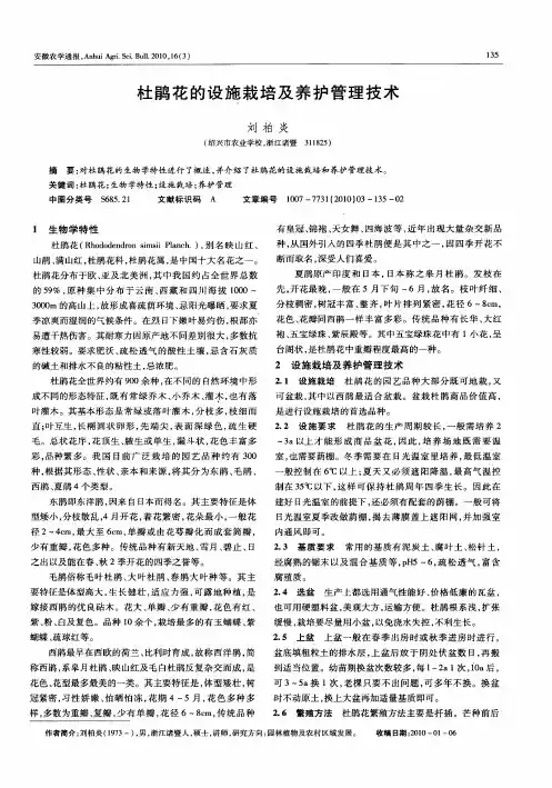 杜鹃花的设施栽培及养护管理技术