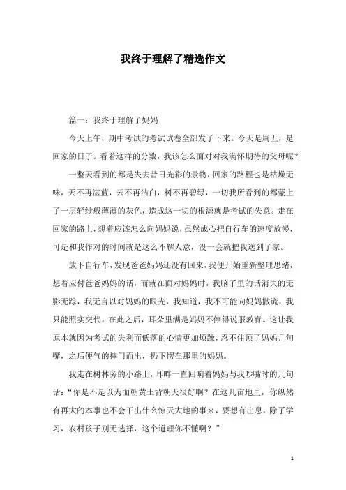 我终于理解了精选作文