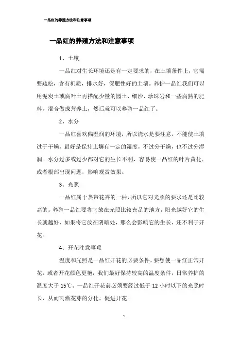 一品红的养殖方法和注意事项