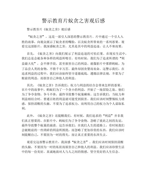 警示教育片蚁贪之害观后感