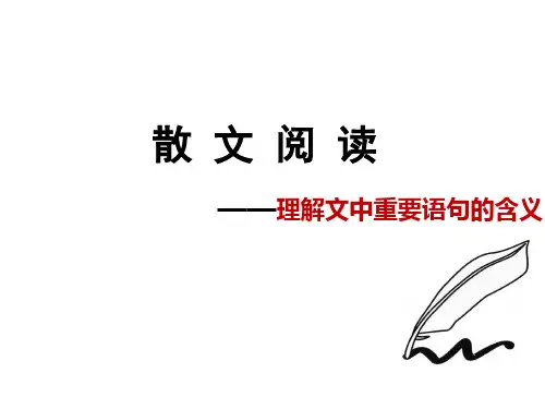 理解文中重要语句的含义