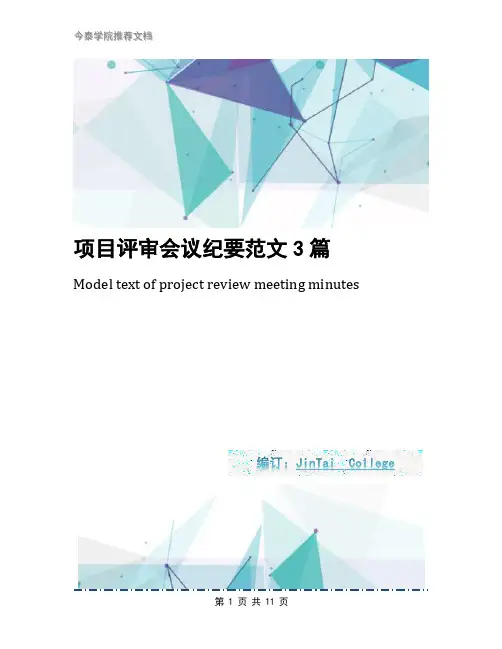 项目评审会议纪要范文3篇