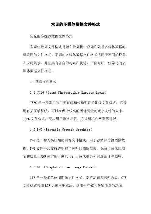 常见的多媒体数据文件格式