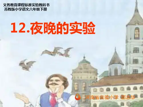 12夜晚的实验