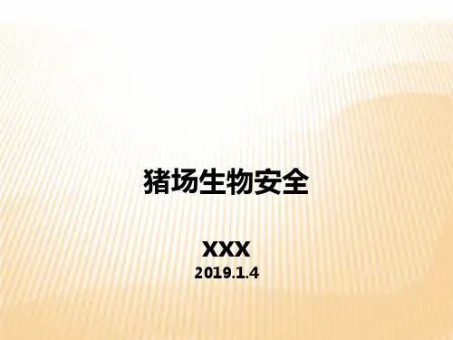 猪场生物安全管理ppt课件