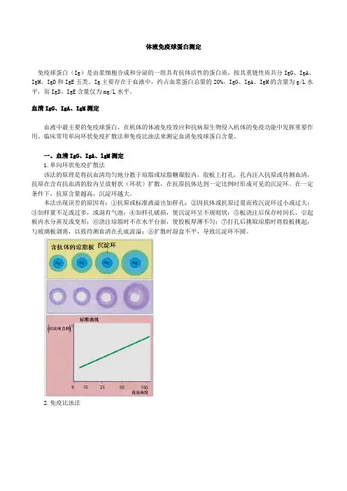 体液免疫球蛋白测定