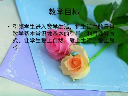 小学一年级一对一辅导专用教案课堂PPT