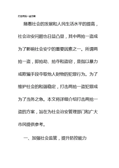 打击两抢一盗方案