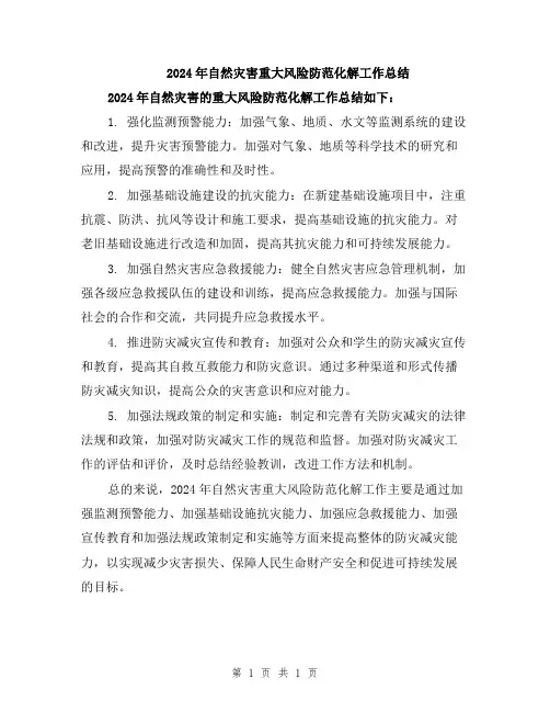 2024年自然灾害重大风险防范化解工作总结