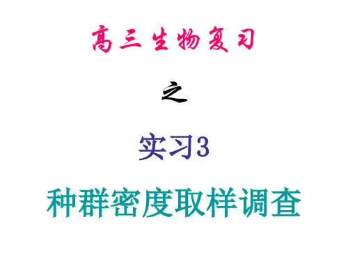 种群密度取样调查ppt课件