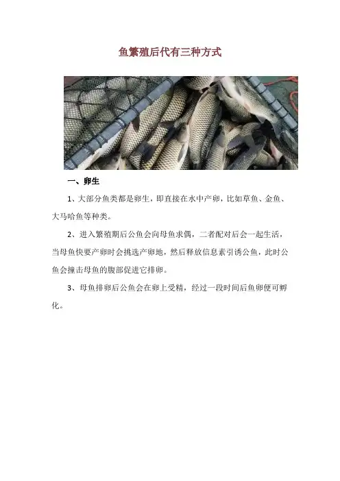 鱼繁殖后代有三种方式
