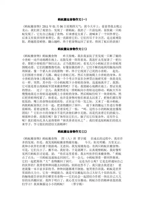 蚂蚁搬运食物作文