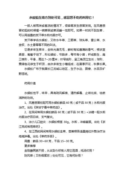 水蜈蚣在南方到处可见，感冒想不吃药叫用它！