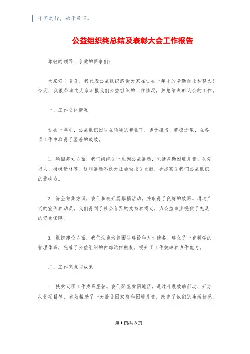 公益组织终总结及表彰大会工作报告