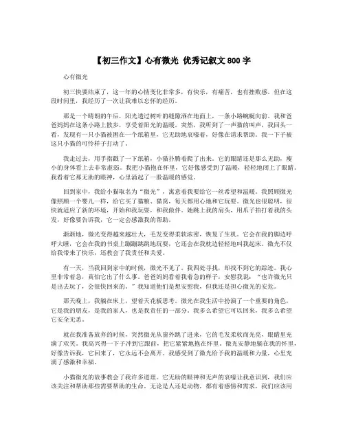 【初三作文】心有微光 优秀记叙文800字